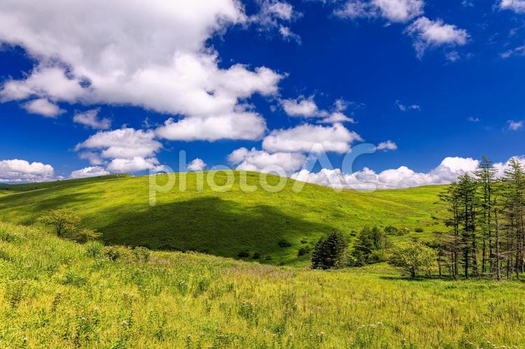 長野県・諏訪市 夏の霧ヶ峰の風景 日本,絶景,風景の写真素材