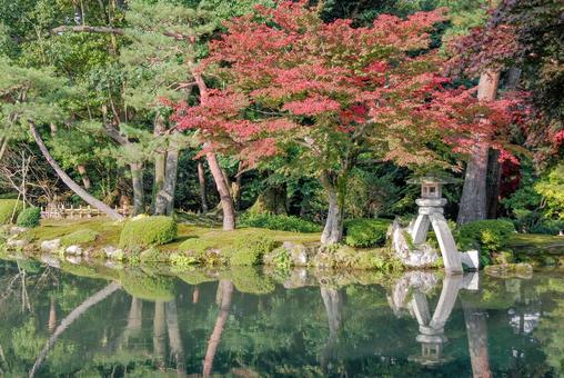 紅葉の兼六園 ことじ灯籠と霞ヶ池(石川) 紅葉の兼六園 ことじ灯籠と霞ヶ池(石川) 兼六園,日本庭園,和風の写真素材