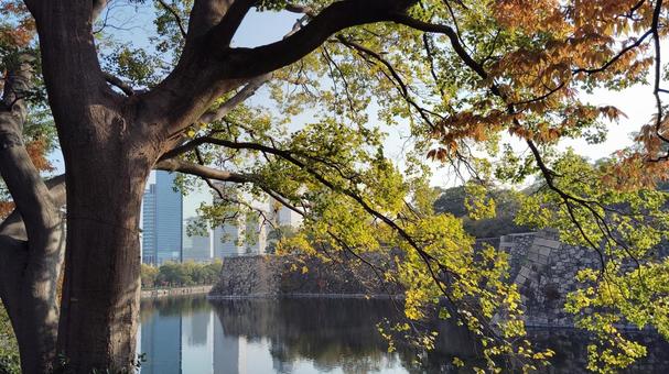 石垣と池とビル 池,青空,石垣の写真素材