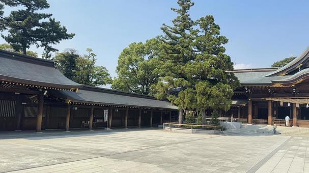 寒川神社 御神木 寒川神社 御神木 寒川神社,境内,神社の写真素材