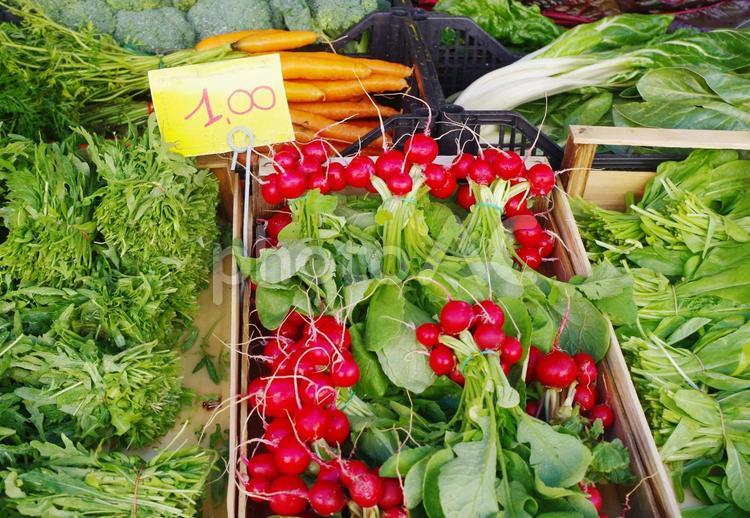 イタリアの野菜売り場　ラデイッシュ 野菜,ラデイッシュ,イタリアの写真素材