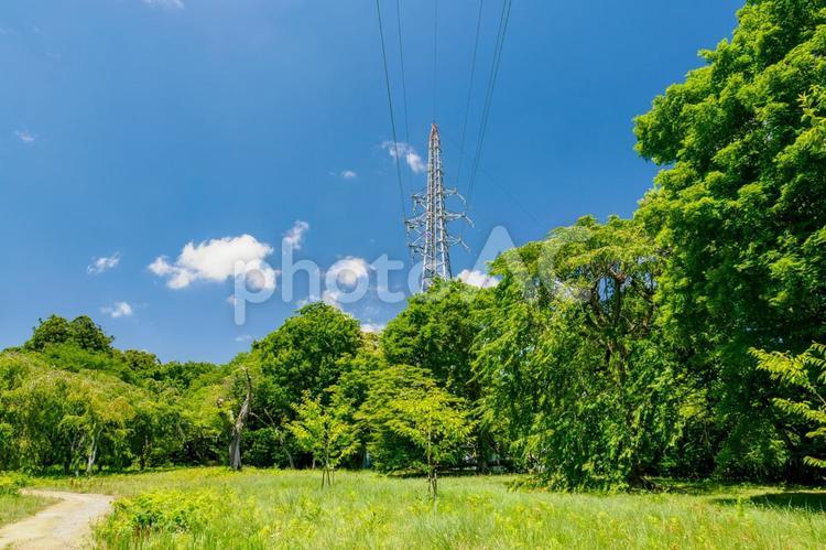 鉄塔のある風景ー夏⑸ 鉄塔,送電線,緑の写真素材