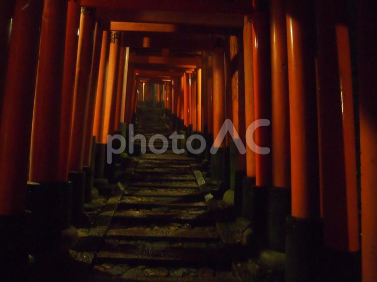 夜の伏見稲荷 伏見稲荷,鳥居,寺社仏閣の写真素材