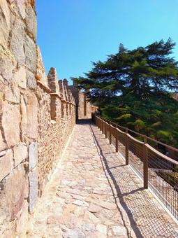 アビラ 城壁散策 アビラ 城壁散策 アビラ,城壁,世界遺産の写真素材