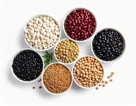 様々な種類の豆 穀物 健康・栄養1 様々な種類の豆 穀物 健康・栄養1の写真