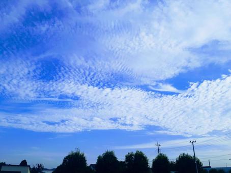 青空 青空の写真