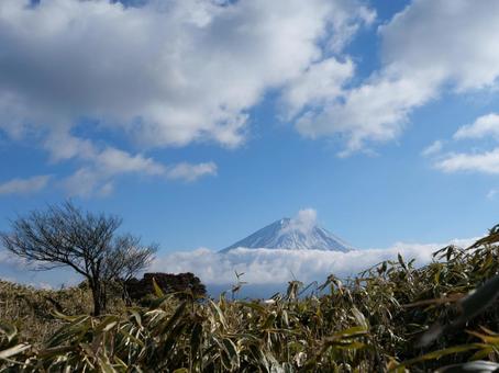 竜ヶ岳から望む富士山 竜ヶ岳から望む富士山 竜ヶ岳,富士山,身延町の写真素材