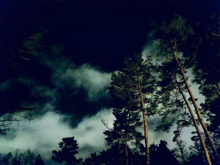 In the forest at night, JPG In the forest at night, JPG