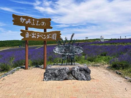 日の出ラベンダー園の看板 日の出ラベンダー園の看板 ラベンダー園,看板,上富良野の写真素材