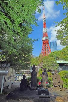 増上寺(港) 増上寺(港) 増上寺,浄土宗大本山,阿弥陀如来の写真素材