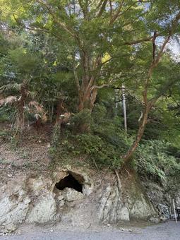 安房神社 安房神社 安房神社,千葉観光,南房総の写真素材