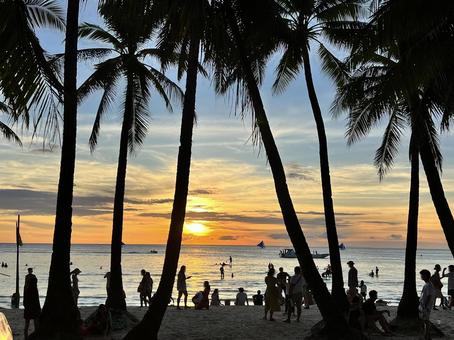 ボラカイ島ホワイトビーチのサンセット1 ボラカイ島ホワイトビーチのサンセット1 夕日,夕陽,サンセットの写真素材