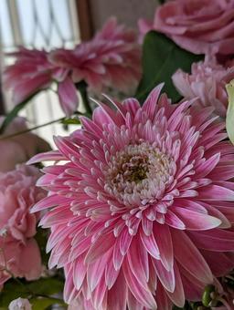 花束 花束 ピンク,花,薔薇の写真素材