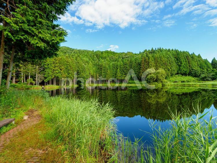 水面が美しい湖畔の風景 龍王ヶ渕,青空,湖の写真素材