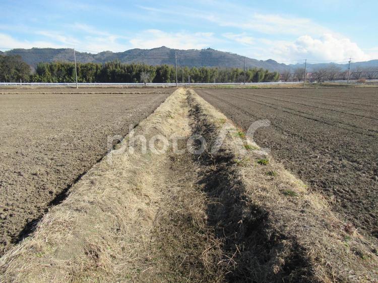 水も干上がった１月の用水路 溝,川,河川の写真素材