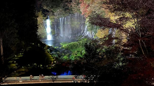 白糸の滝ライトアップ 白糸の滝,富士宮,静岡の写真素材