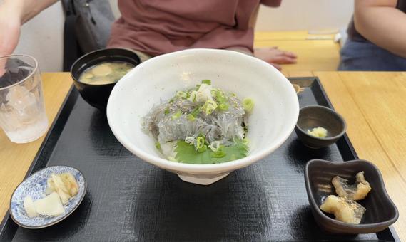 新鮮な生しらす丼 新鮮な生しらす丼 しらす丼,生しらす丼,しらすの写真素材