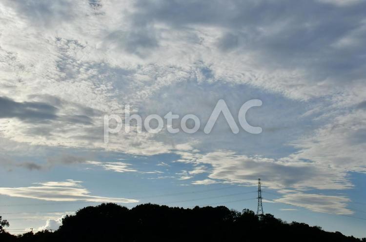 動物の模様のような雲 雲,空,動物の写真素材