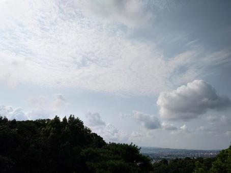 京都の町並み 京都の町並みの写真