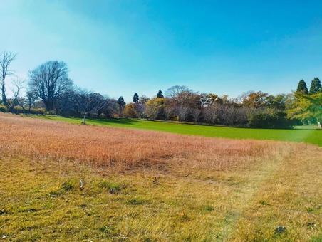 秋元牧場 秋元牧場,牧場,牧草地の写真素材