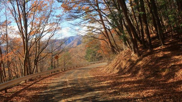 紅葉ドライブ 那須塩原 紅葉ドライブ 那須塩原の写真