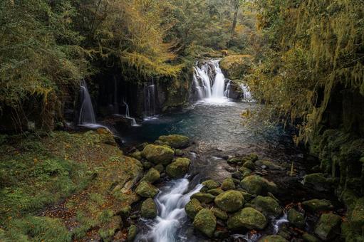 熊本-【菊池渓谷の紅葉】 熊本,菊池渓谷,川の写真素材