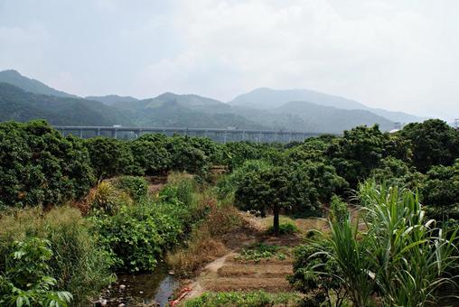 中国 広東の農村 中国 広東の農村の写真