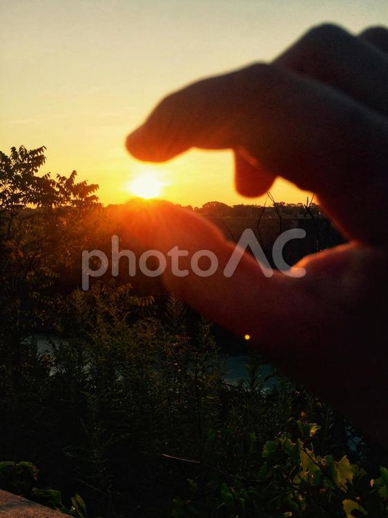 太陽を捕まえた 太陽,空,朝日の写真素材
