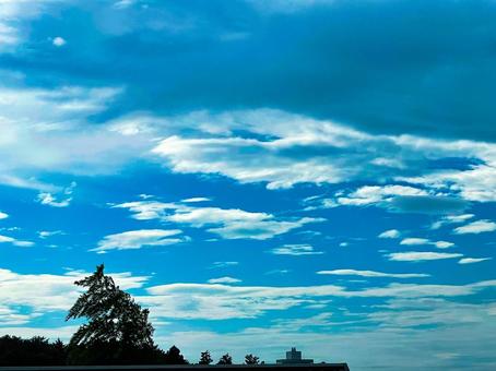 空 空の写真