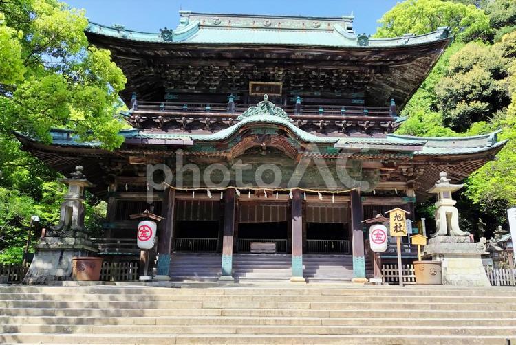 【香川県】金刀比羅宮 金刀比羅宮,神社,拝殿の写真素材