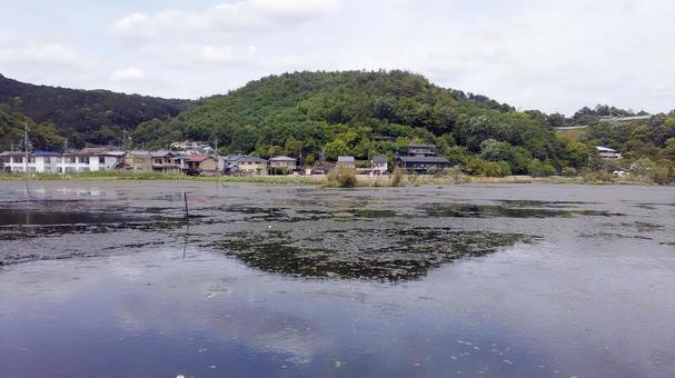 京都・深泥池と里山の風景 京都・深泥池と里山の風景の写真