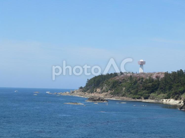 福井県の有名な観光地の東尋坊の風景 東尋坊,福井,坂井市の写真素材