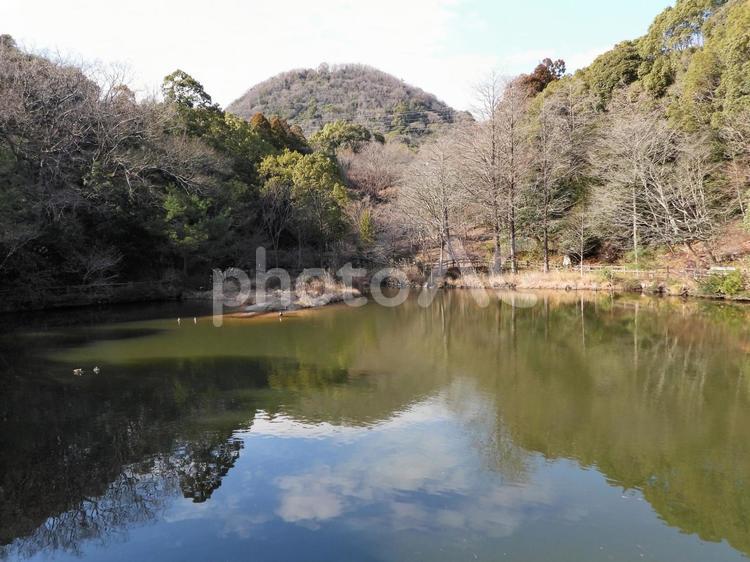 冬の晴れ間のミクルマ池 風景,兵庫県西宮市,甲山森林公園の写真素材