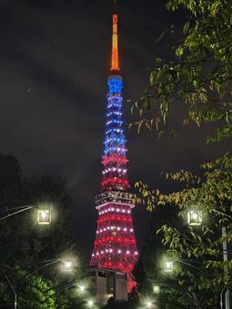 赤と青に輝く東京タワーの夜 東京タワー,夜景,ライトアップの写真素材