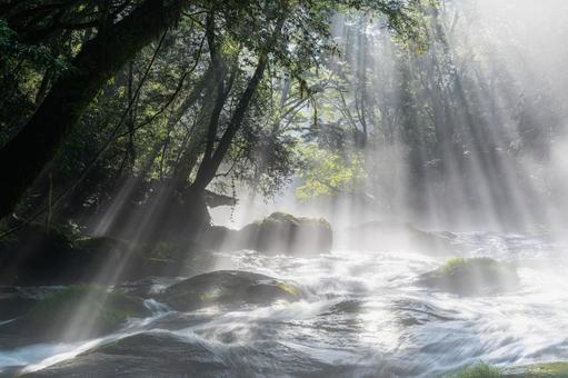 熊本-【菊池渓谷の光芒】 熊本,菊池渓谷,川の写真素材