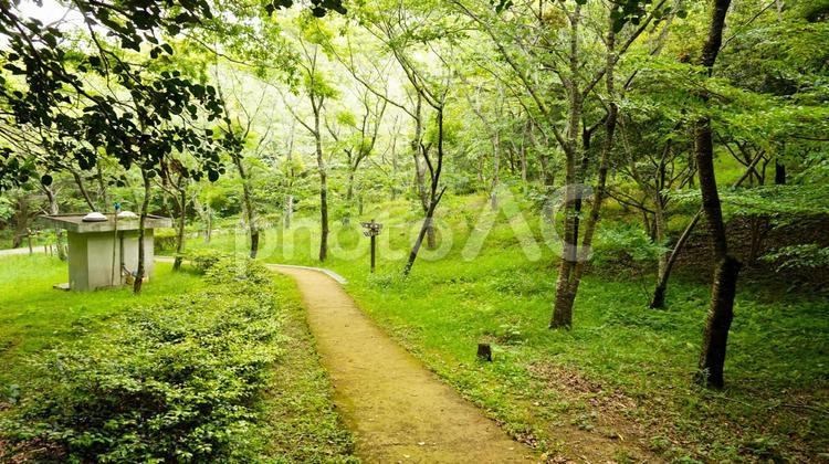福岡県、宗像市のハイキングコース アウトドア,登山者,ウォーキングの写真素材