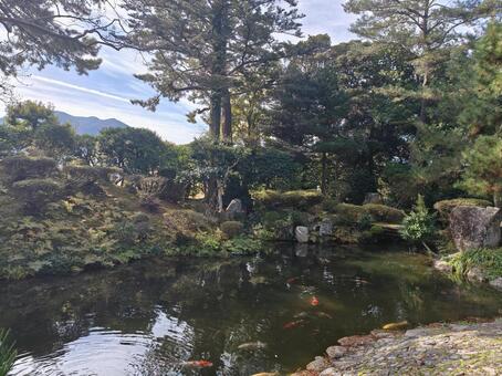 福井県-柴田氏庭園 柴田氏庭園,国指定名勝,野坂山の写真素材