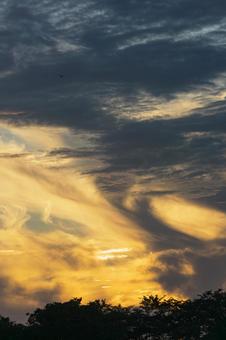 夏の早朝の雲 夏の早朝の雲の写真