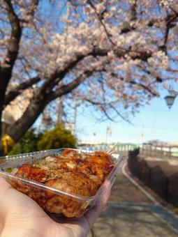 たこ焼き片手にお花見を楽しむ女性 たこ焼き片手にお花見を楽しむ女性 お花見,桜,たこ焼きの写真素材