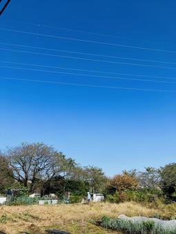 秋散歩 秋散歩の写真