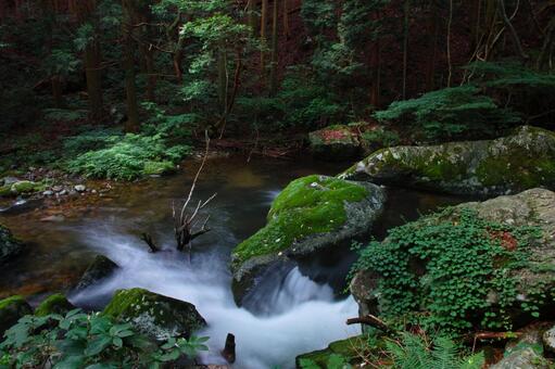 鏡野・白賀渓谷 鏡野・白賀渓谷の写真