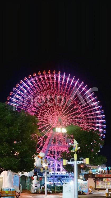 みなとみらいの夜景 みなとみらい,夜景,夜の写真素材