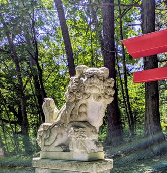 照片, 神社, 樱松神社, 岩手, 