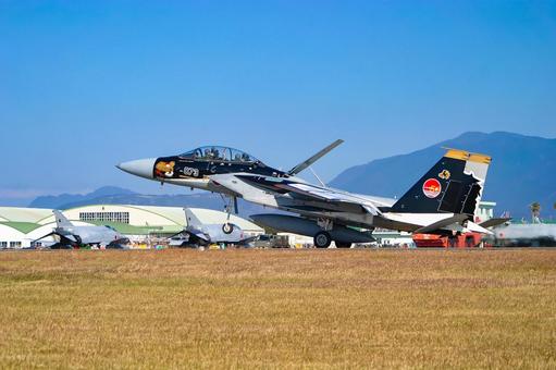 着陸する航空自衛隊F-15DJ記念塗装機 着陸する航空自衛隊F-15DJ記念塗装機 航空自衛隊,自衛隊,ミリタリーの写真素材