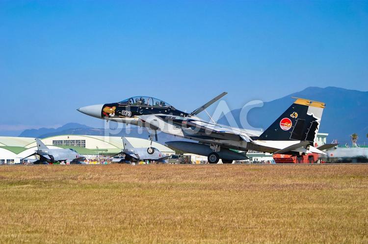 着陸する航空自衛隊F-15DJ記念塗装機 航空自衛隊,自衛隊,ミリタリーの写真素材