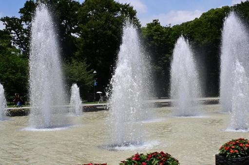 噴水のある公園 噴水のある公園の写真
