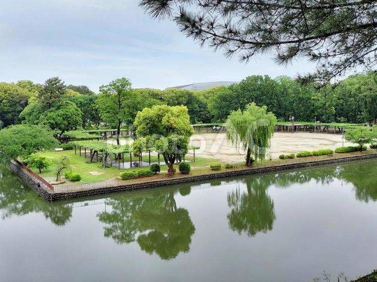 名古屋城不明門付近から見る外堀と名城公園 名古屋城,名城公園,外堀の写真素材