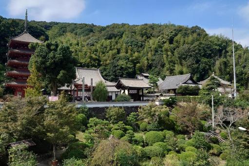 広島県-明王院-全景 広島県-明王院-全景 明王院,寺,中道山の写真素材