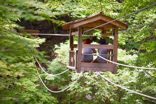 かずら橋 かずら橋の写真