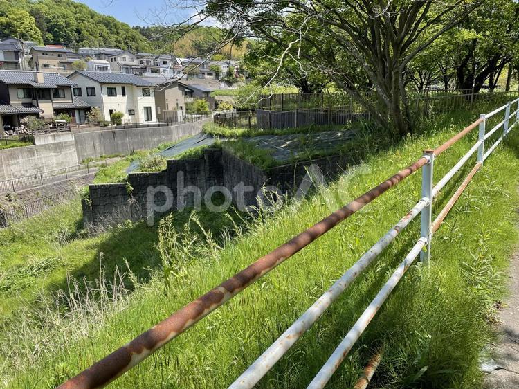ガードレールと街と木と 空,木,自然の写真素材
